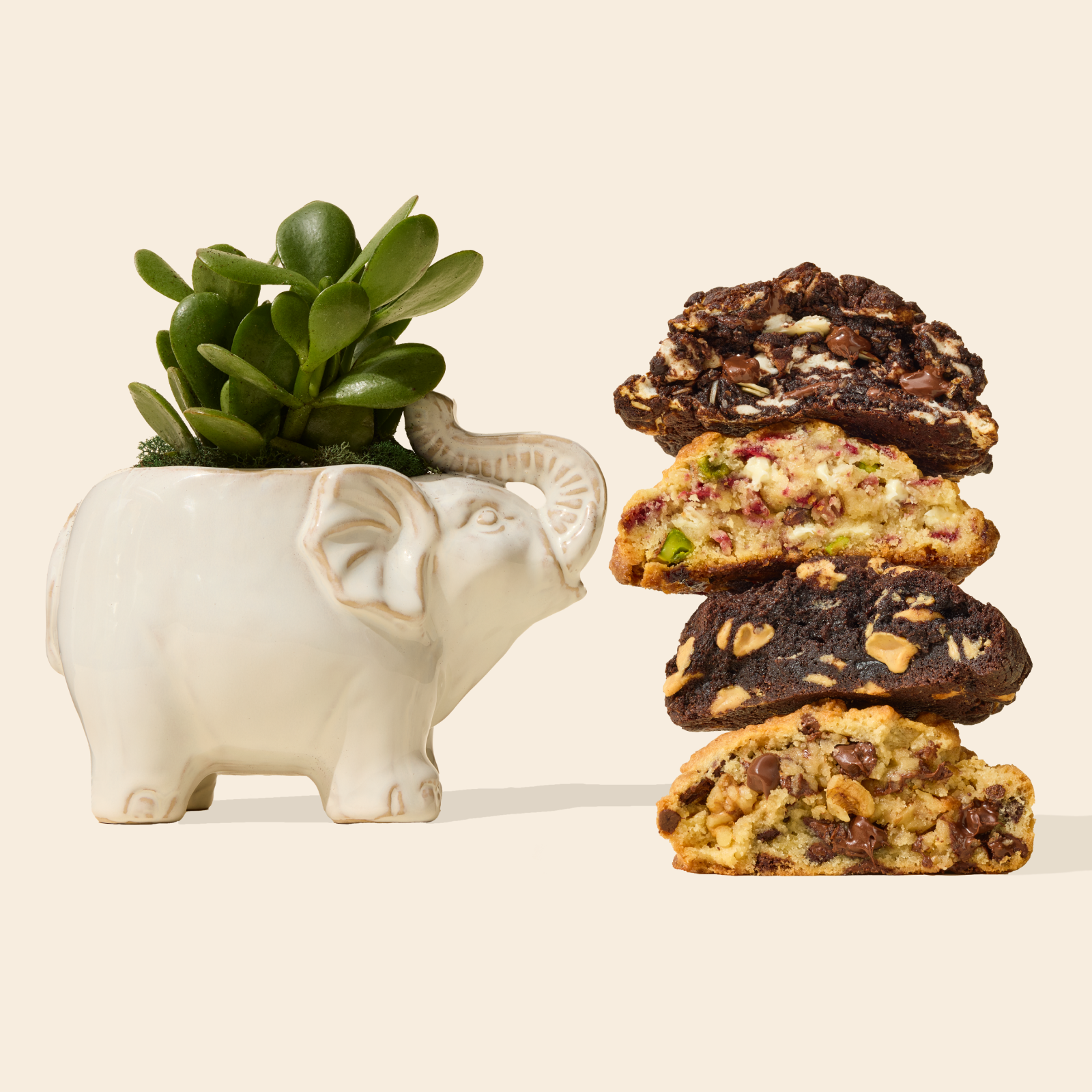 Levain x UrbanStems Desk Plant Gift Set